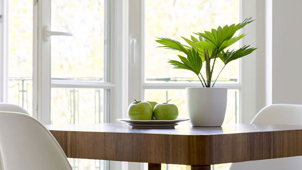 Referenz | Fenster & Türen Design + Technik, Rostock